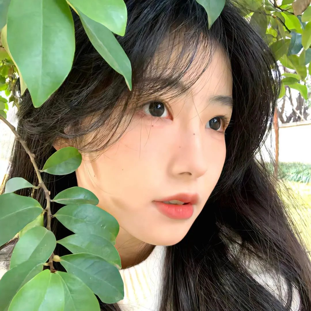 宛若淑女