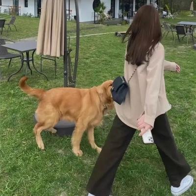 猛鬼差馆